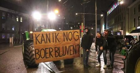 Traktory przed holenderskim parlamentem. Rolnicy protestują przeciwko ustawie ograniczającej emisję azotu