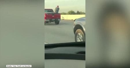 Bezpański pies biegał po autostradzie. Zwierzę uratowali kierowcy