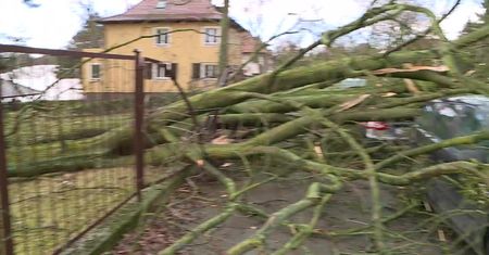 Połamane drzewa, uszkodzone budynki i zerwane linie energetyczne – krajobraz Szczecina po przejściu nawałnicy