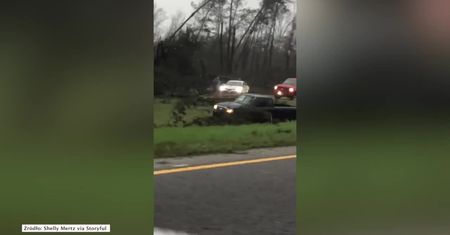 Samochody przygniecione drzewami, nieprzejezdna droga. Potężne tornado siało spustoszenie w USA