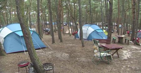 13-letnia turystka z Czech znalazła w namiocie węża boa. Należał do odpoczywającego na tym samym kempingu mieszkańca Łodzi
