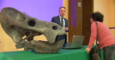 Największy gad ssakokształtny odkryty w Polsce. Gigantyczne zwierzę żyło 210 mln lat temu