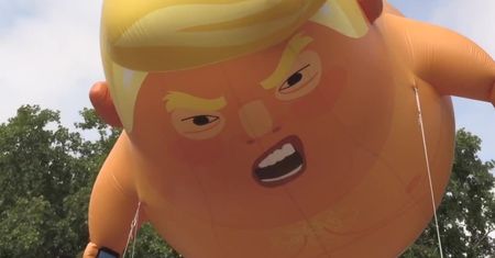 Ubrany w samą pieluchę wrzeszczy i tweetuje. Dmuchany Trump wzbił się w powietrze obok brytyjskiego parlamentu