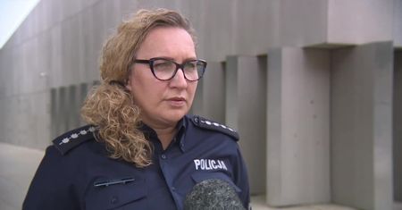 Wjechał na wysepkę, staranował znak i odjechał. Pijany kierowca stracił prawo jazdy