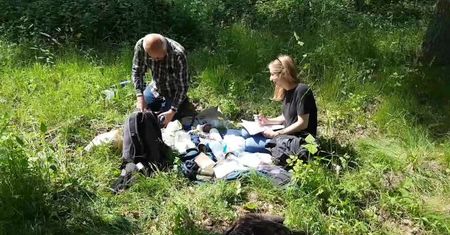 Relacja prosto z orlego gniazda. Ornitolodzy obrączkują bieliki w Nadleśnictwie Sieraków