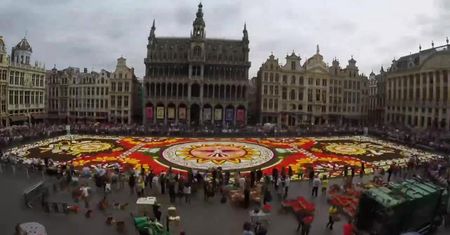 500 tys. kwiatów na Wielkim Placu w Brukseli. Dekoracje na cześć meksykańskiego regionu