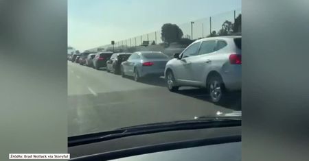 Ogromne kolejki przed punktem drive-thru w Los Angeles