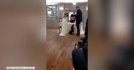 Wyjątkowa okazja wymaga wyjątkowego pomocnika. Pies przyniósł obrączki na ślubie swoich właścicieli