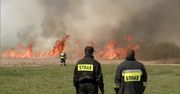 W Biebrzańskim Parku Narodowym spłonęło około 1,3 hektara bagien i lasu