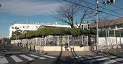 Szkoły w Japonii zamknięte do końca marca w obawie przed koronawirusem