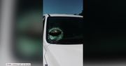 Żółw wbił się w przednią szybę samochodu. Niebezpieczny wypadek na autostradzie w USA