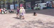 Starość nie radość? “Tańczące Babcie” mają odmienne zdanie