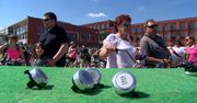Łódź pobiła rekord Polski w grze na dzwonkach rowerowych. 215 rowerzystów odegrało utwór Mozarta