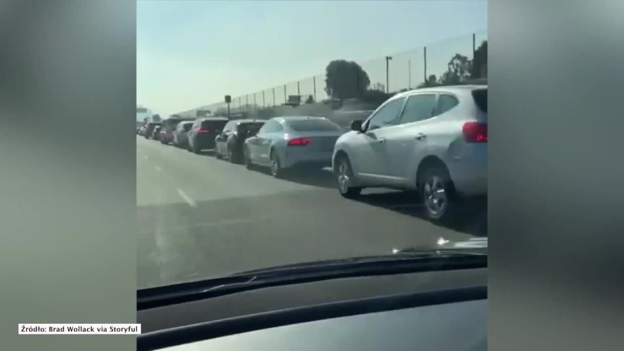 Ogromne kolejki przed punktem drive-thru w Los Angeles