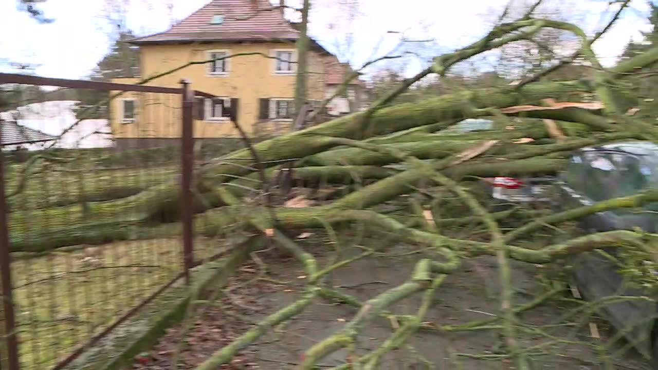 Połamane drzewa, uszkodzone budynki i zerwane linie energetyczne – krajobraz Szczecina po przejściu nawałnicy