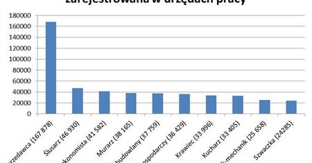 W tym zawodzie najwięcej bezrobotnych