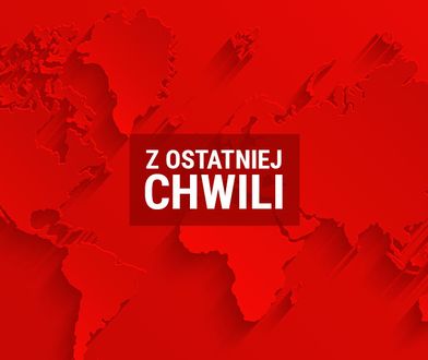 Policjanci zaatakowani przed Pałacem Buckingham w Londynie. Napastnik zatrzymany