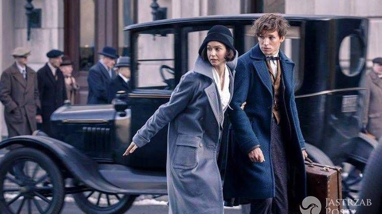 Fantastyczne zwierzęta i jak je znaleźć - zwiastun