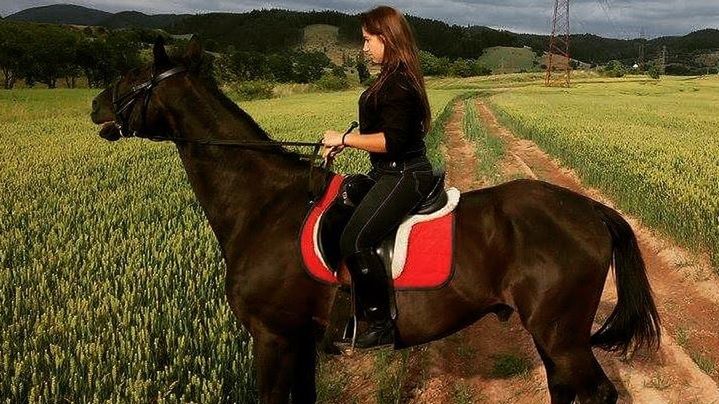 Po 7 latach spędzonych z panią Nikolą, złodzieje ukradli Chrobrego (Pszczew, woj. lubuskie)