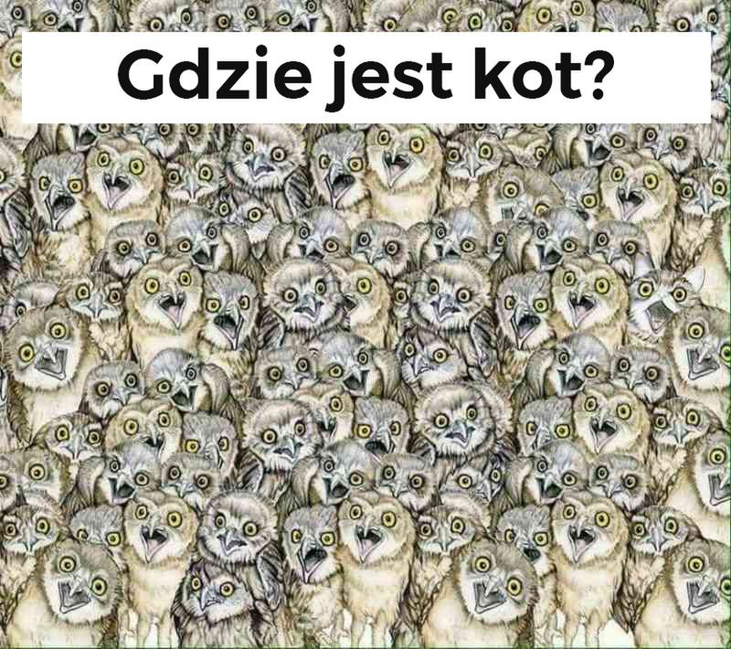 Obrazek