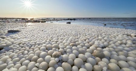 Finlandia. Plaża oszołomiła. Małżeństwo aż zaniemówiło
