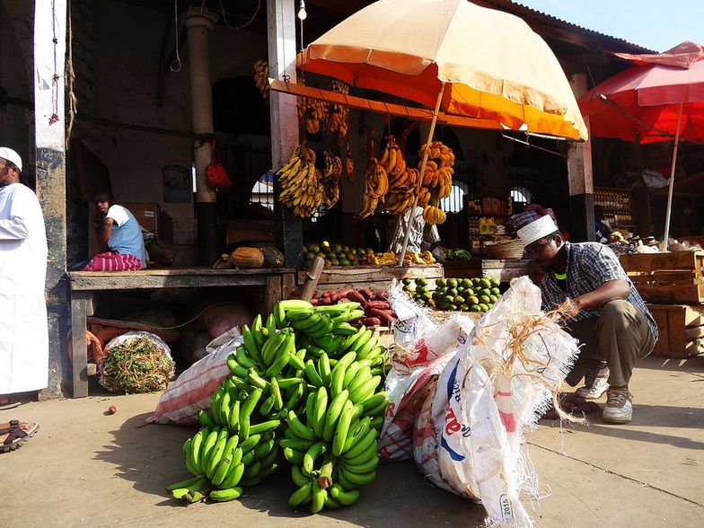 Polskie firmy w Afryce. Giełdowa spółka pomaga rozwijać rolnictwo