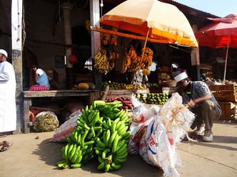 Polskie firmy w Afryce. Giełdowa spółka pomaga rozwijać rolnictwo