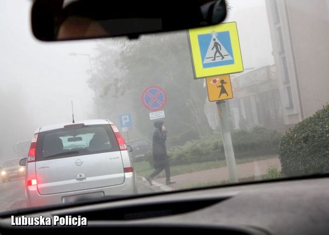 Piesza przechodząca z telefonem