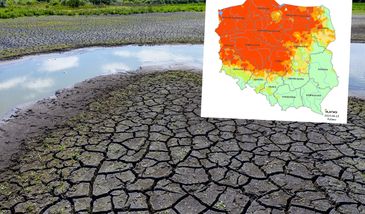 Nawet 40 stopni. Skutki odczujemy wszyscy, tak źle jeszcze nie było