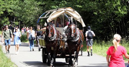 Rewolucja na trasie do Morskiego Oka. Tatrzański Park Narodowy planuje zmiany