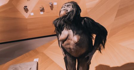 Prababka ludzi. Lucy chodziła wyprostowana