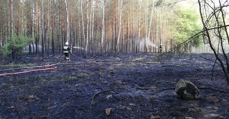 Paliły się lasy pod Piłą