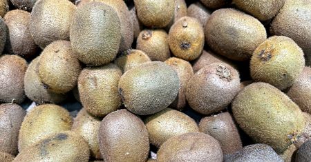 Nie jedz kiwi na pusty żołądek. Zaskakujące działanie, o którym mało kto mówi