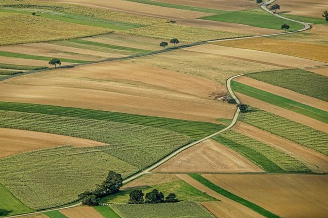 Większy KRUS za dzierżawę działek? Prawnik odpowiada
