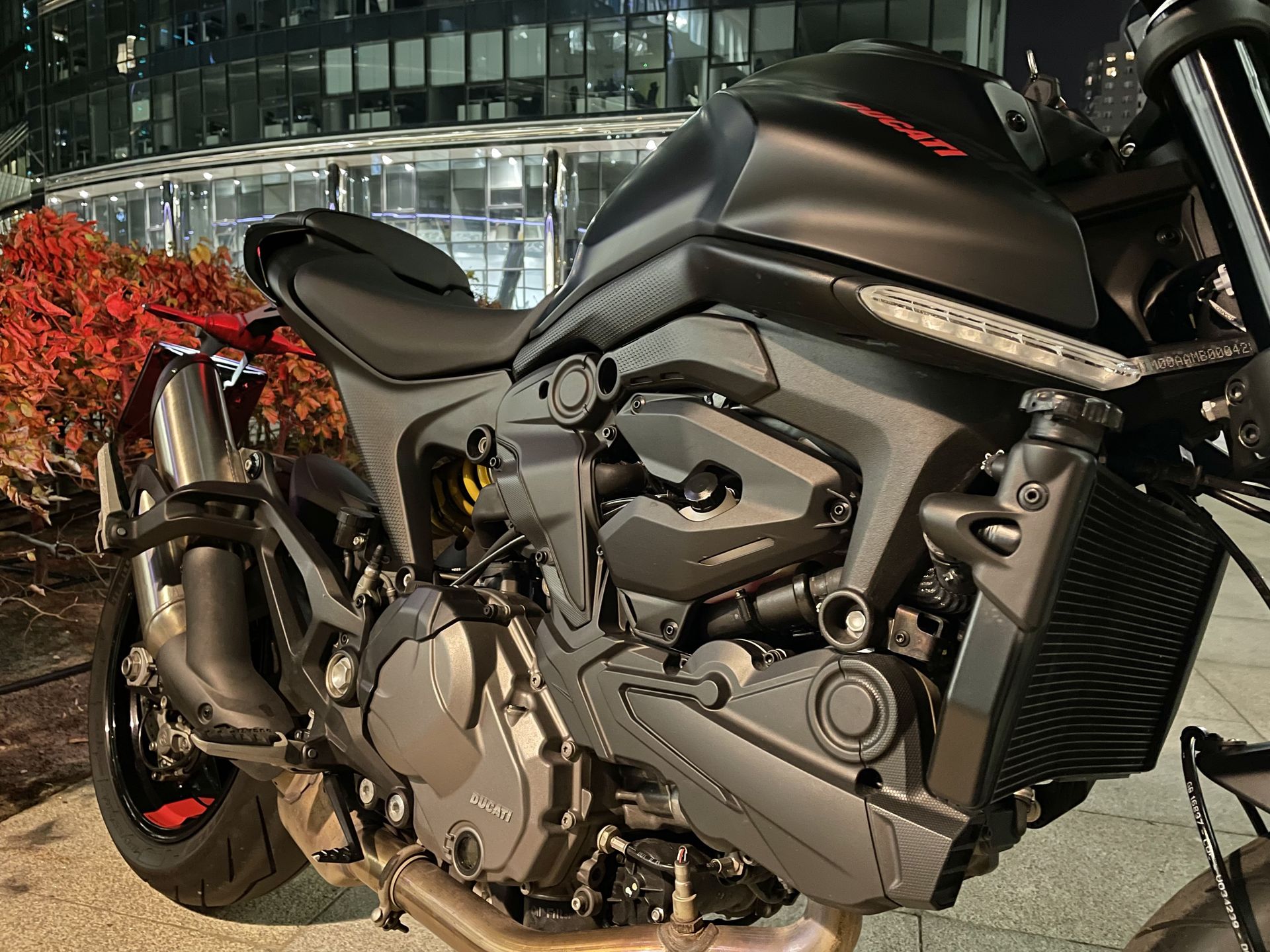 Ducati Monster