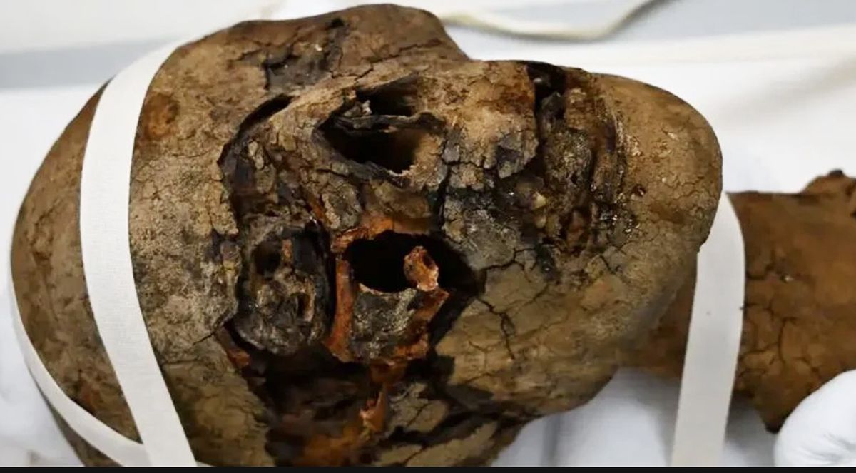 Głowa mumii sprzed 2000 lat znaleziona na strychu