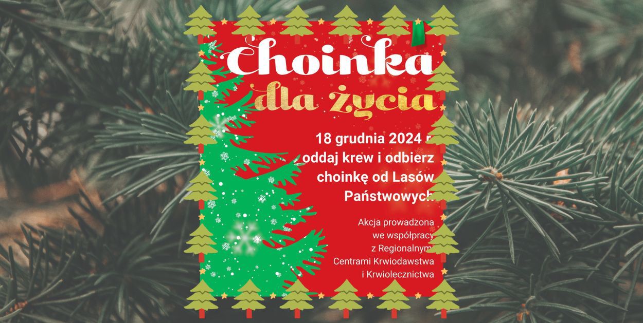 Oddaj krew - dostaniesz choinkę!