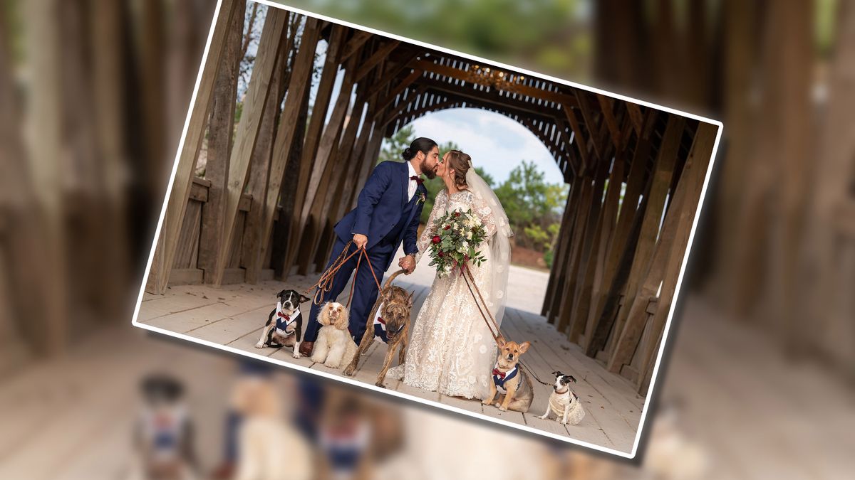 Zakochani w sobie i psach. Te zdjęcia ślubne rozczulają do granic 1