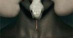''American Horror Story'': Jessica Lange szkoli czarownice