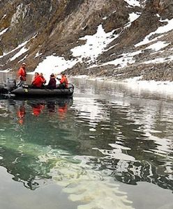 Niecodzienne odkrycie u wybrzeży Norwegii. Na dnie zatoki spoczywa ogromna kość