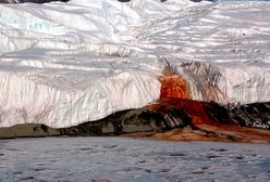 Zagadka "krwawych wodospadów" na Antarktydzie rozwiązana