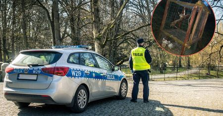 W lesie natknął się na klatkę. Przyjechał technik kryminalistyki