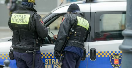 Ruszyły kontrole, kara to nawet 5 tys. zł. Co sprawdza straż miejska?