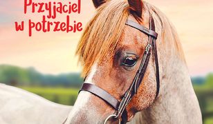 Deresz z Parkowej Stajni. Przyjaciel w potrzebie