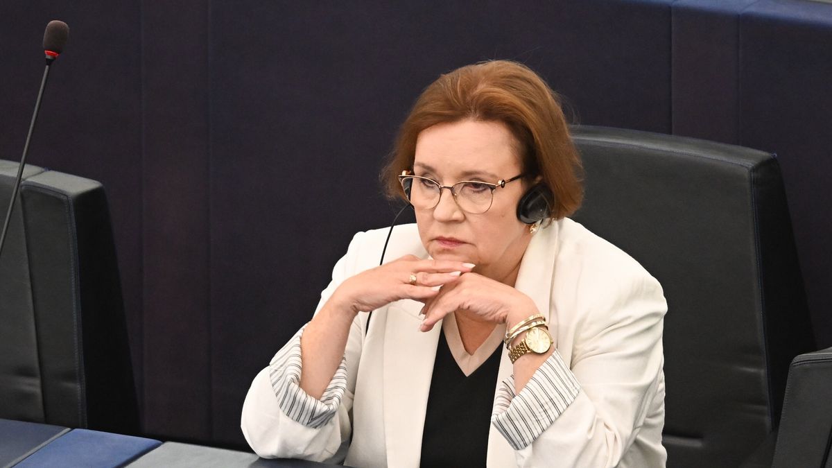 Anna Zalewska
 na sali obrad Parlamentu Europejskiego w Strasburgu