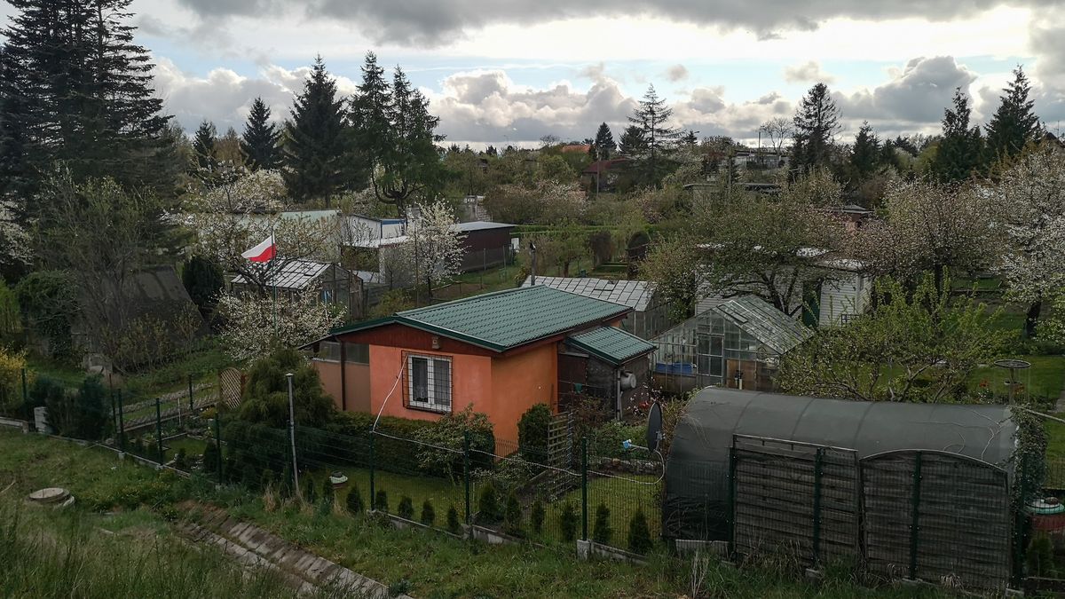 Polacy kochają Rodzinne Ogrody Działkowe. Czy znają ich zasady?