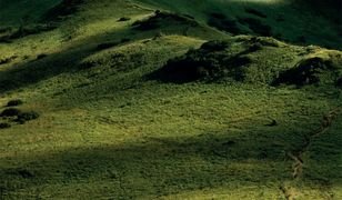 Przewodnik Bieszczady, 2014