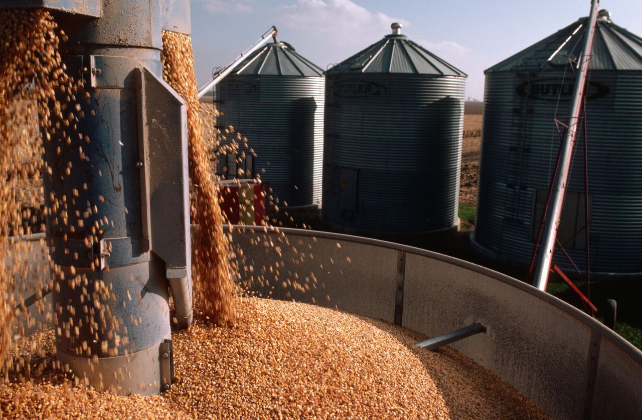 Bułgaria pójdzie śladem Polski i Węgier? Rozważa zamknięcie granic przed zbożem z Ukrainy