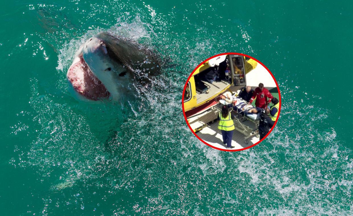 Shark attack: 40-year-old woman critically injured in rare shark attack near Jurien Bay