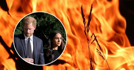 Harry i Meghan będą uciekać z domu? Muszą być gotowi w każdej chwili